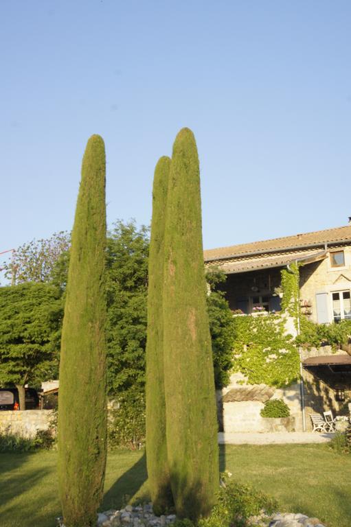 Hotel Domaine De La Manse Villeneuve-de-Berg Exterior foto